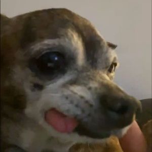 Meet your Posher, Geraldine